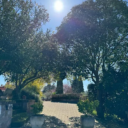 Bed & Breakfast La Terrazza Su Roma